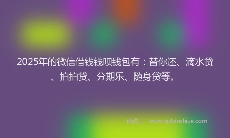 2025年的微信借钱钱呗钱包有：替你还、滴水贷、拍拍贷、分期乐、随身贷等。