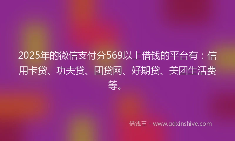 2025年的微信支付分569以上借钱的平台有：信用卡贷、功夫贷、团贷网、好期贷、美团生活费等。