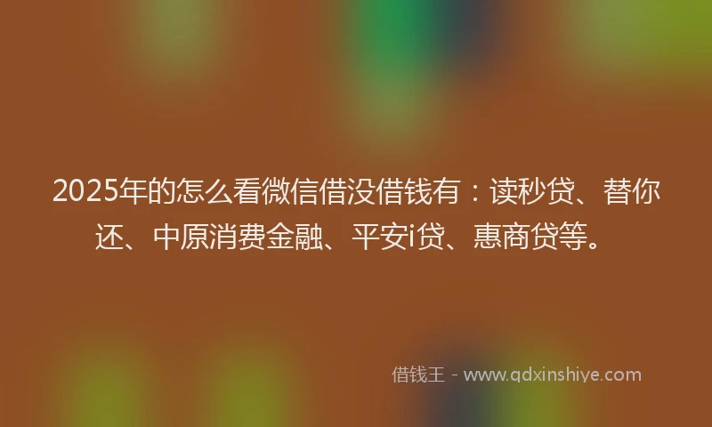 2025年的怎么看微信借没借钱有：读秒贷、替你还、中原消费金融、平安i贷、惠商贷等。