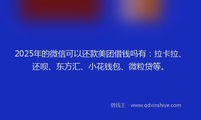 2025年的微信可以还款美团借钱吗有：拉卡拉、还呗、东方汇、小花钱包、微粒贷等。