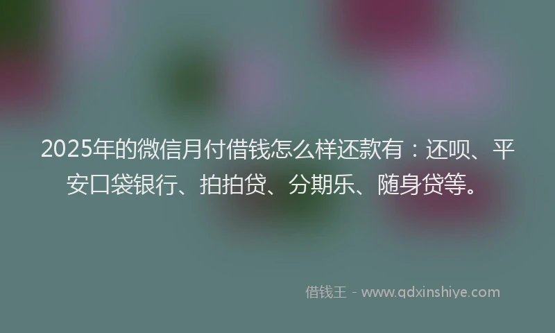 2025年的微信月付借钱怎么样还款有：还呗、平安口袋银行、拍拍贷、分期乐、随身贷等。