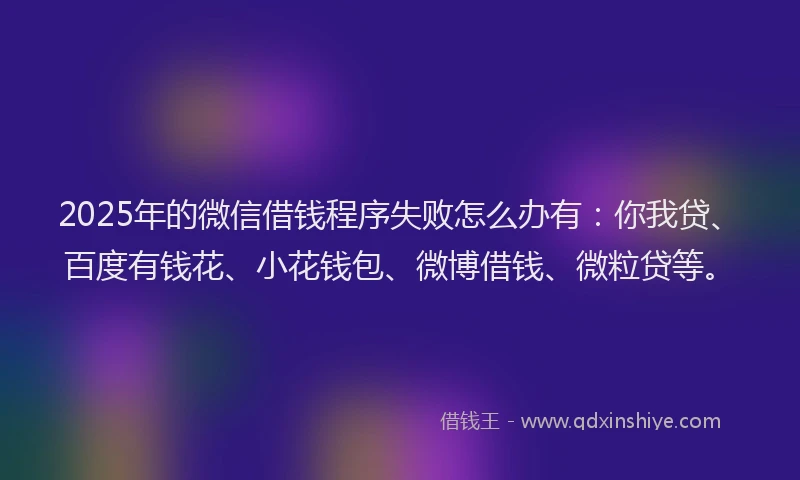 2025年的微信借钱程序失败怎么办有：你我贷、百度有钱花、小花钱包、微博借钱、微粒贷等。