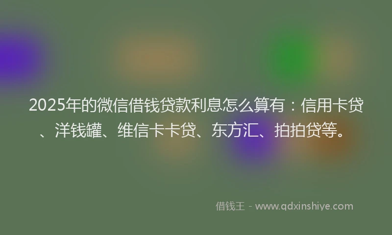 2025年的微信借钱贷款利息怎么算有：信用卡贷、洋钱罐、维信卡卡贷、东方汇、拍拍贷等。