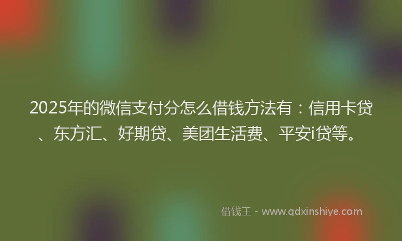 2025年的微信支付分怎么借钱方法有：信用卡贷、东方汇、好期贷、美团生活费、平安i贷等。