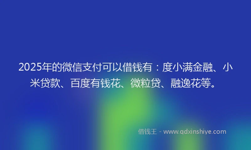2025年的微信支付可以借钱有：度小满金融、小米贷款、百度有钱花、微粒贷、融逸花等。