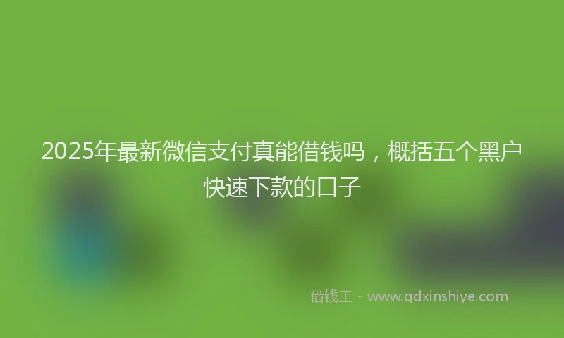 2025年最新微信支付真能借钱吗，概括五个黑户快速下款的口子