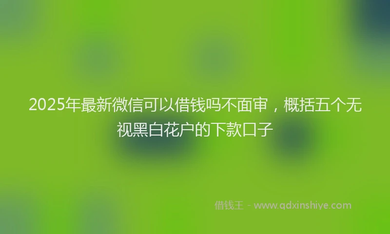 2025年最新微信可以借钱吗不面审，概括五个无视黑白花户的下款口子
