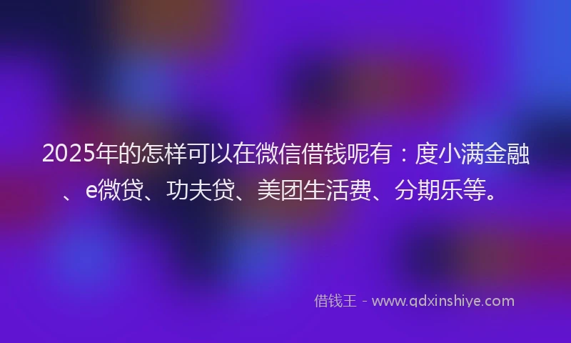 2025年的怎样可以在微信借钱呢有：度小满金融、e微贷、功夫贷、美团生活费、分期乐等。