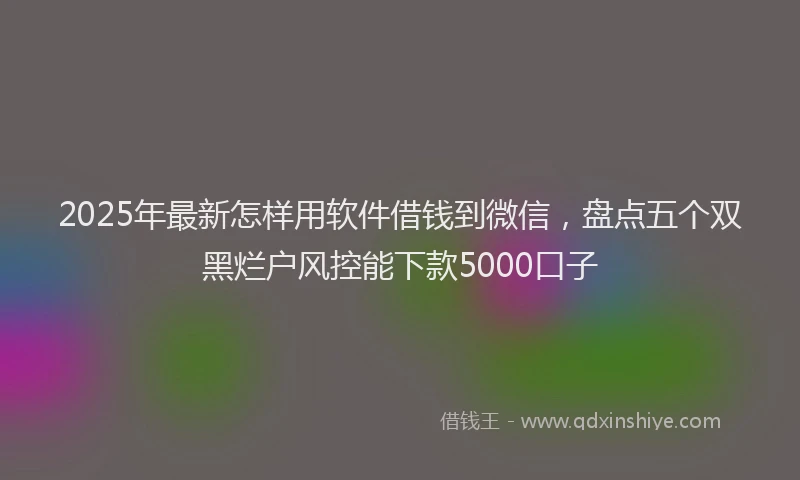 2025年最新怎样用软件借钱到微信，盘点五个双黑烂户风控能下款5000口子