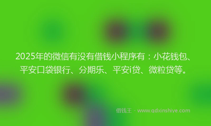 2025年的微信有没有借钱小程序有：小花钱包、平安口袋银行、分期乐、平安i贷、微粒贷等。