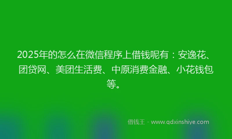 2025年的怎么在微信程序上借钱呢有：安逸花、团贷网、美团生活费、中原消费金融、小花钱包等。