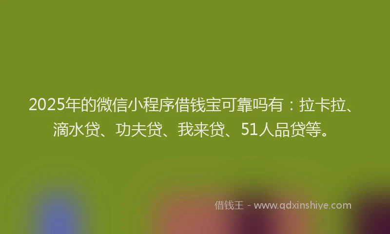 2025年的微信小程序借钱宝可靠吗有：拉卡拉、滴水贷、功夫贷、我来贷、51人品贷等。