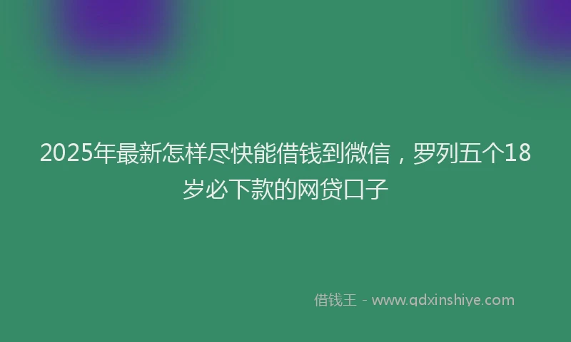 2025年最新怎样尽快能借钱到微信，罗列五个18岁必下款的网贷口子