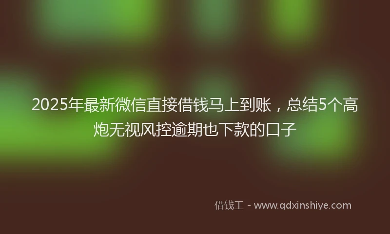 2025年最新微信直接借钱马上到账，总结5个高炮无视风控逾期也下款的口子