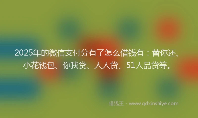 2025年的微信支付分有了怎么借钱有：替你还、小花钱包、你我贷、人人贷、51人品贷等。