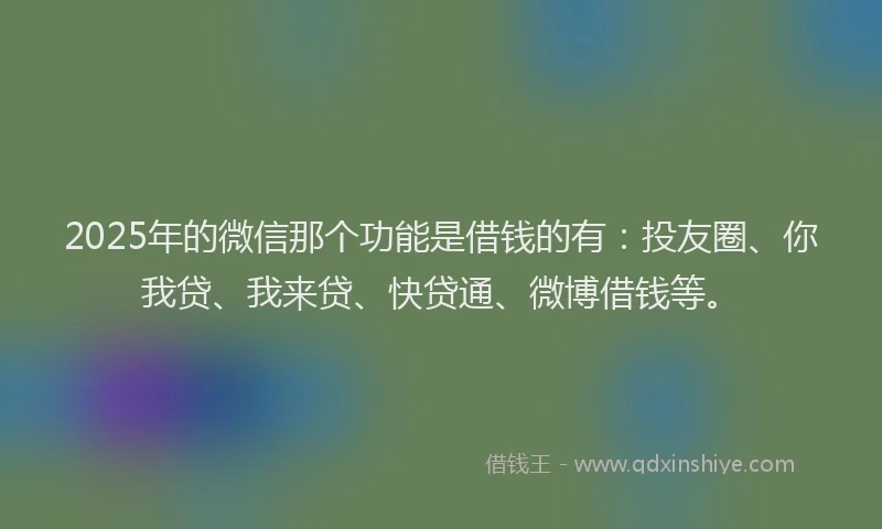 2025年的微信那个功能是借钱的有：投友圈、你我贷、我来贷、快贷通、微博借钱等。