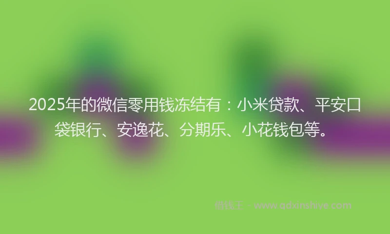2025年的微信零用钱冻结有：小米贷款、平安口袋银行、安逸花、分期乐、小花钱包等。