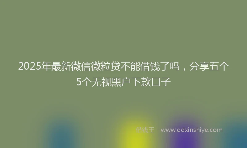 2025年最新微信微粒贷不能借钱了吗，分享五个5个无视黑户下款口子