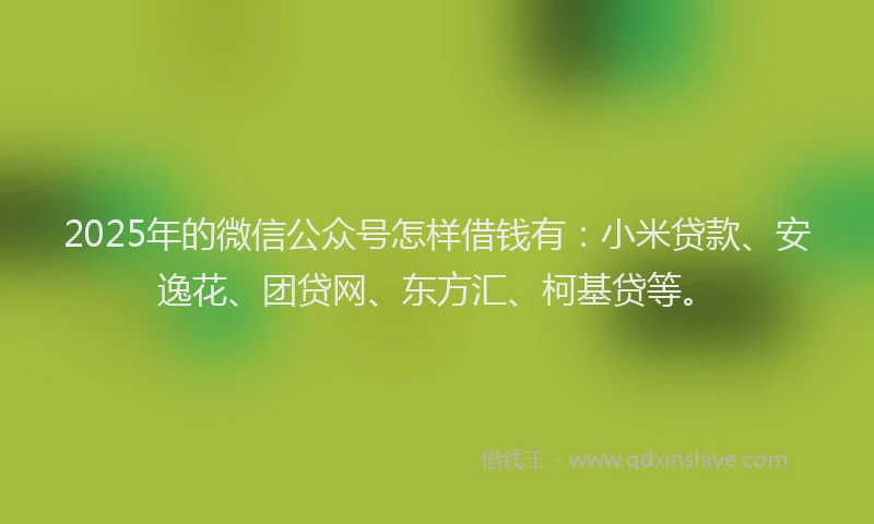 2025年的微信公众号怎样借钱有：小米贷款、安逸花、团贷网、东方汇、柯基贷等。