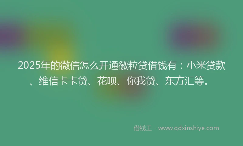 2025年的微信怎么开通徽粒贷借钱有：小米贷款、维信卡卡贷、花呗、你我贷、东方汇等。