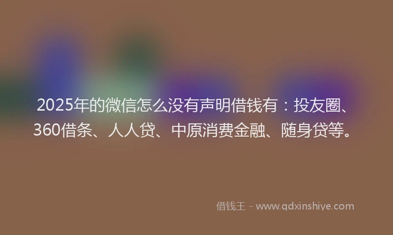 2025年的微信怎么没有声明借钱有：投友圈、360借条、人人贷、中原消费金融、随身贷等。
