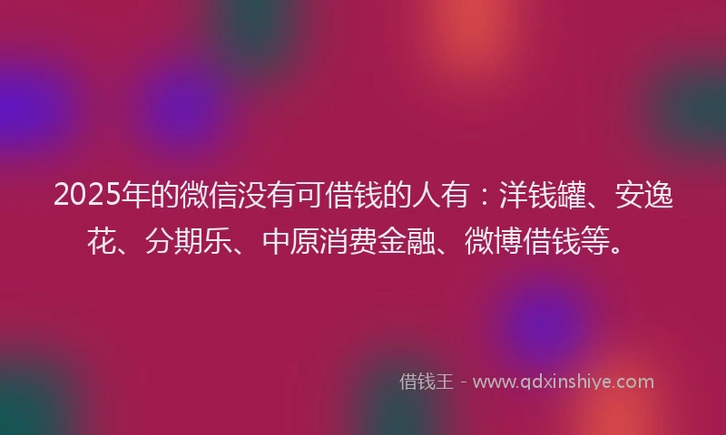 2025年的微信没有可借钱的人有：洋钱罐、安逸花、分期乐、中原消费金融、微博借钱等。