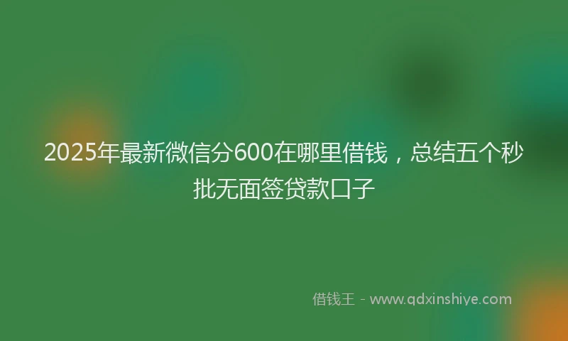 2025年最新微信分600在哪里借钱，总结五个秒批无面签贷款口子