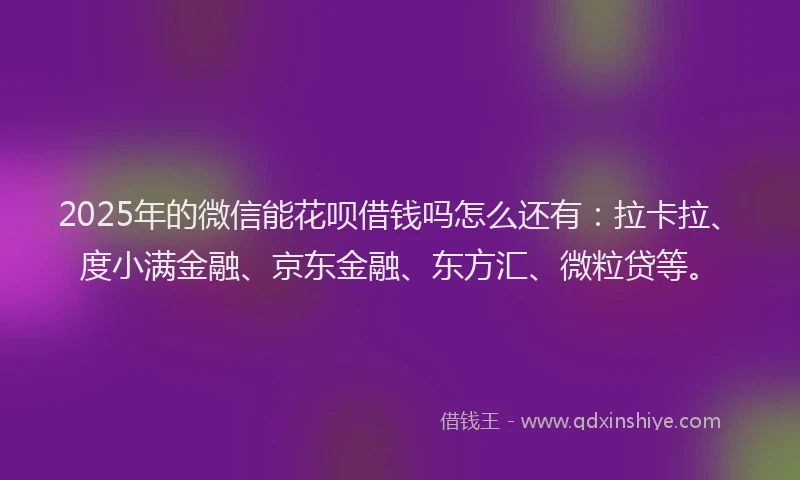 2025年的微信能花呗借钱吗怎么还有：拉卡拉、度小满金融、京东金融、东方汇、微粒贷等。