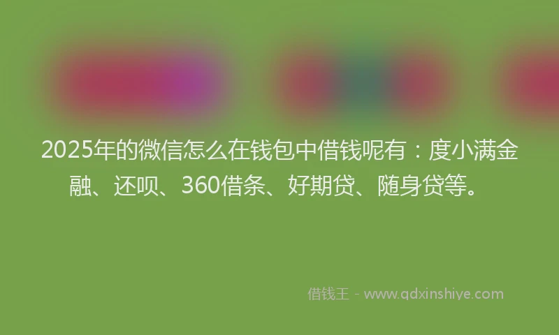 2025年的微信怎么在钱包中借钱呢有：度小满金融、还呗、360借条、好期贷、随身贷等。