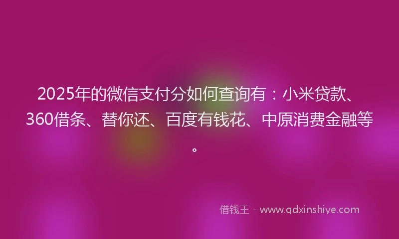 2025年的微信支付分如何查询有：小米贷款、360借条、替你还、百度有钱花、中原消费金融等。