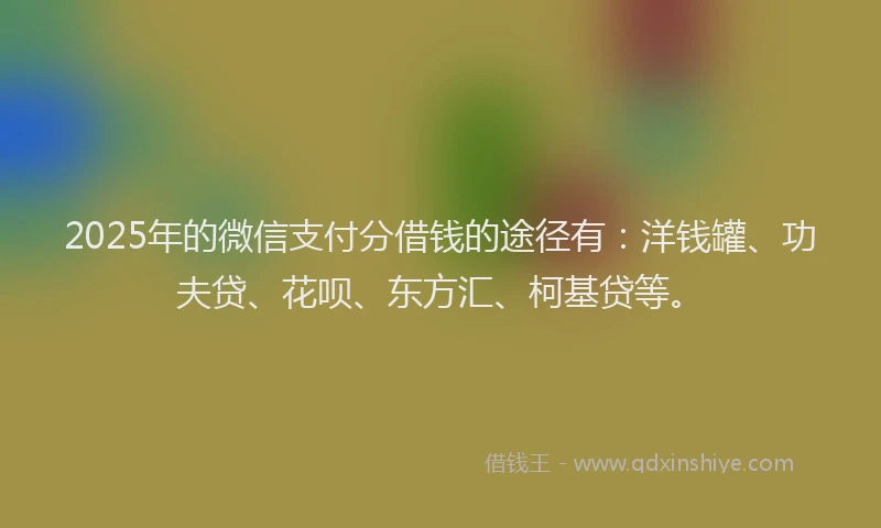 2025年的微信支付分借钱的途径有：洋钱罐、功夫贷、花呗、东方汇、柯基贷等。