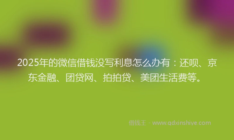 2025年的微信借钱没写利息怎么办有：还呗、京东金融、团贷网、拍拍贷、美团生活费等。
