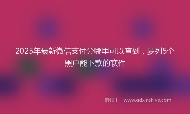 2025年最新微信支付分哪里可以查到，罗列5个黑户能下款的软件