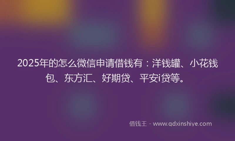 2025年的怎么微信申请借钱有：洋钱罐、小花钱包、东方汇、好期贷、平安i贷等。