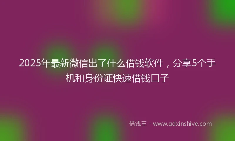 2025年最新微信出了什么借钱软件，分享5个手机和身份证快速借钱口子