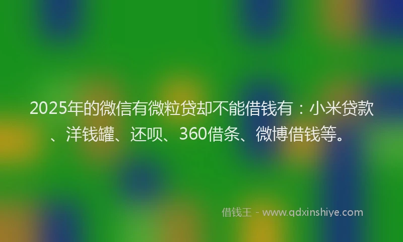 2025年的微信有微粒贷却不能借钱有：小米贷款、洋钱罐、还呗、360借条、微博借钱等。