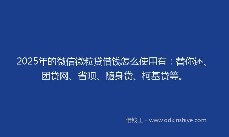 2025年的微信微粒贷借钱怎么使用有：替你还、团贷网、省呗、随身贷、柯基贷等。