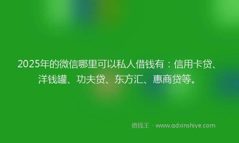 2025年的微信哪里可以私人借钱有：信用卡贷、洋钱罐、功夫贷、东方汇、惠商贷等。