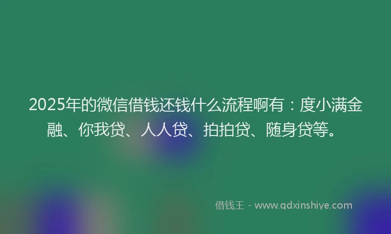 2025年的微信借钱还钱什么流程啊有：度小满金融、你我贷、人人贷、拍拍贷、随身贷等。