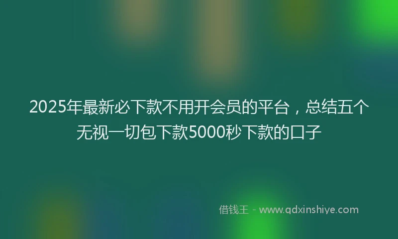 2025年最新必下款不用开会员的平台，总结五个无视一切包下款5000秒下款的口子