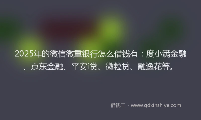 2025年的微信微重银行怎么借钱有：度小满金融、京东金融、平安i贷、微粒贷、融逸花等。