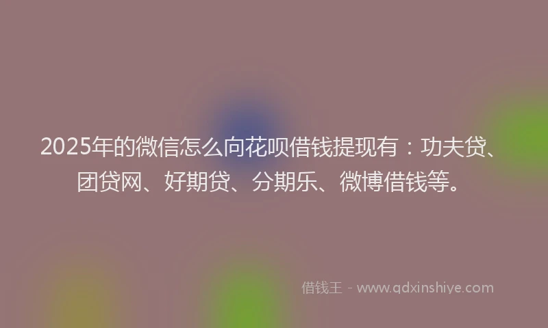 2025年的微信怎么向花呗借钱提现有：功夫贷、团贷网、好期贷、分期乐、微博借钱等。