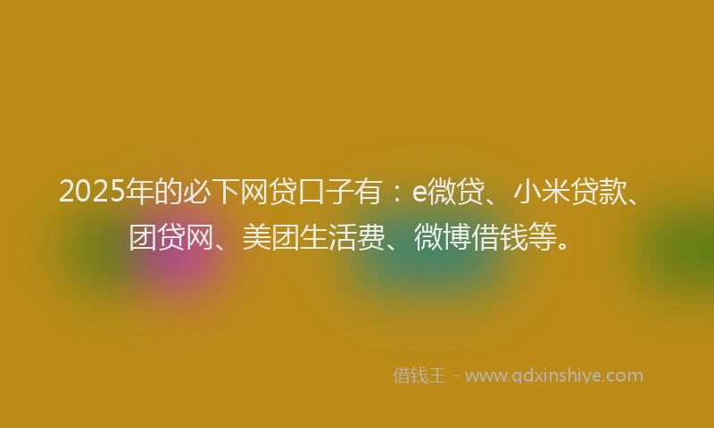 2025年的必下网贷口子有：e微贷、小米贷款、团贷网、美团生活费、微博借钱等。
