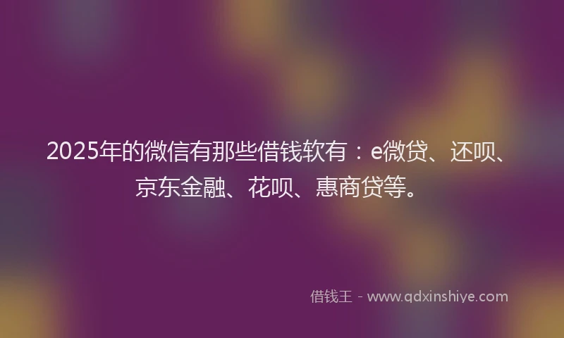 2025年的微信有那些借钱软有：e微贷、还呗、京东金融、花呗、惠商贷等。