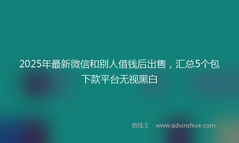 2025年最新微信和别人借钱后出售，汇总5个包下款平台无视黑白