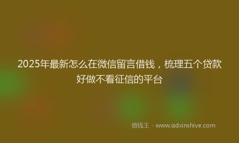 2025年最新怎么在微信留言借钱，梳理五个贷款好做不看征信的平台