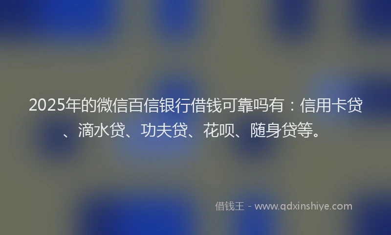 2025年的微信百信银行借钱可靠吗有:信用卡贷、滴水贷、功夫贷、花呗、随身贷等。