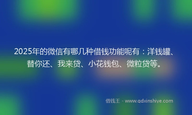 2025年的微信有哪几种借钱功能呢有：洋钱罐、替你还、我来贷、小花钱包、微粒贷等。