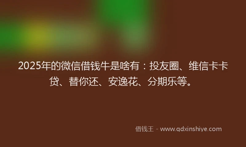 2025年的微信借钱牛是啥有：投友圈、维信卡卡贷、替你还、安逸花、分期乐等。
