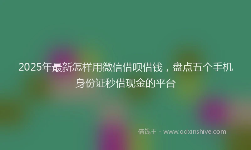 2025年最新怎样用微信借呗借钱，盘点五个手机身份证秒借现金的平台